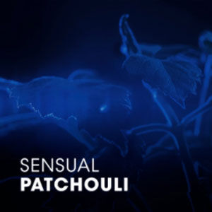 A close-up of patchouli leaves illuminated with a blue hue, featuring the text "Sensual Patchouli" in white.