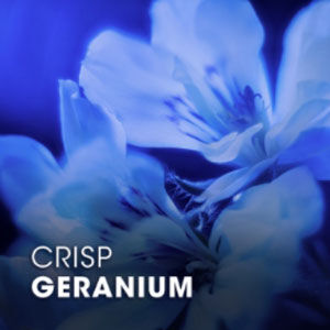 An artistic close-up of delicate geranium flowers, softly lit in shades of blue, with the words "CRISP GERANIUM" elegantly displayed at the bottom.