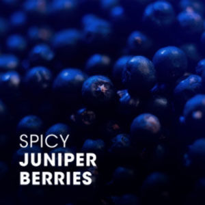 A close-up image of dark blue juniper berries with the text "Spicy Juniper Berries" in white font.