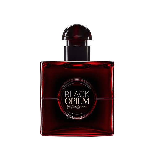 Ysl so black collection 2025