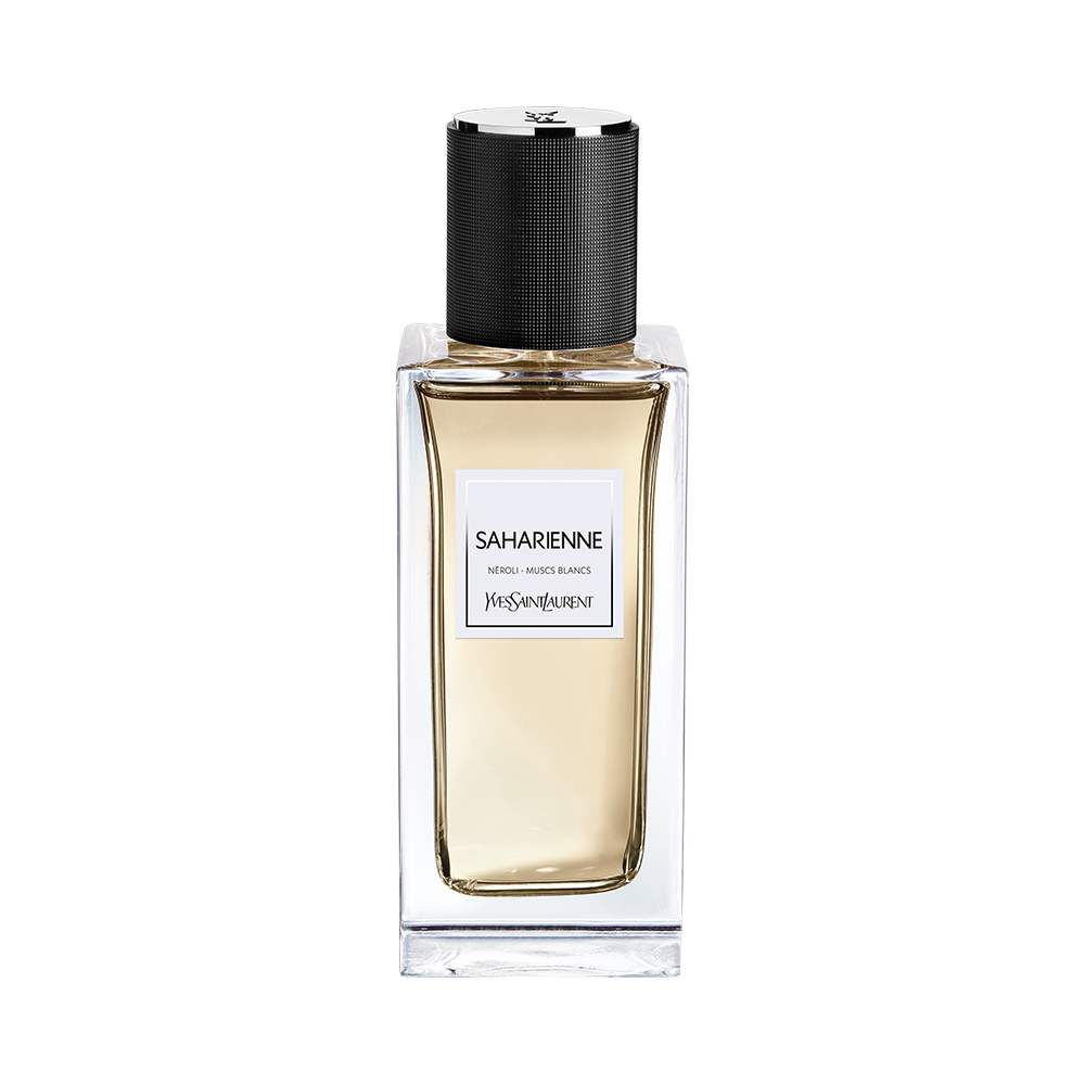 Saharienne ysl top