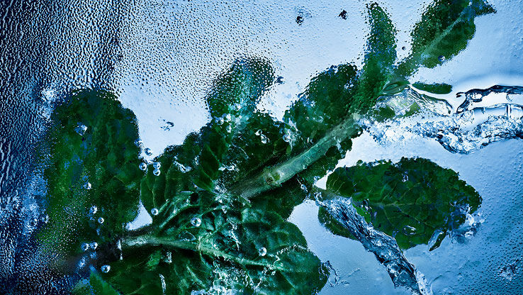 Frische Minzblätter, eingeschlossen in Eis und Wasser, symbolisieren die belebende Essenz von YSL Y Eau de Toilette Intense Iced Cologne.