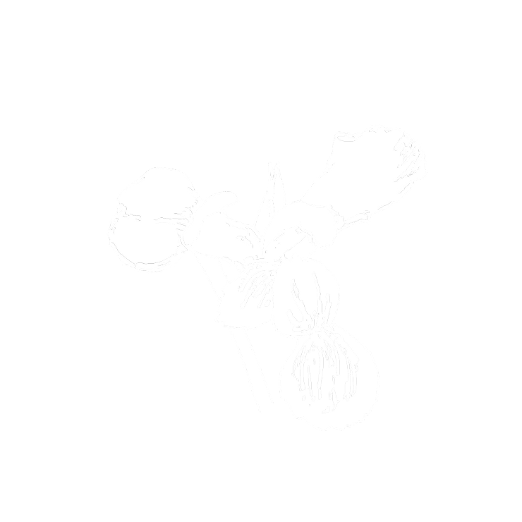 Elegantes Irisbutter-Icon für CŒUR
Eau de Parfum von YSL, das die
pudrigen Herznoten des Duftes repräsentiert.